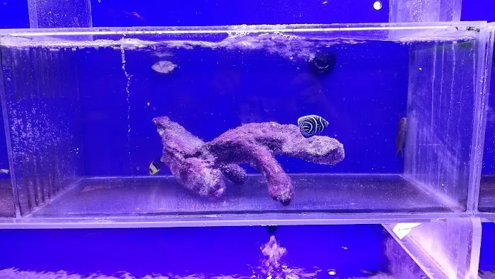 Discount Pets & Supplies Picture 8