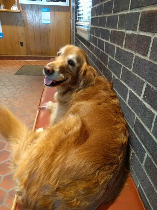 MacDonald Veterinary Hospital, Inc. Picture 3