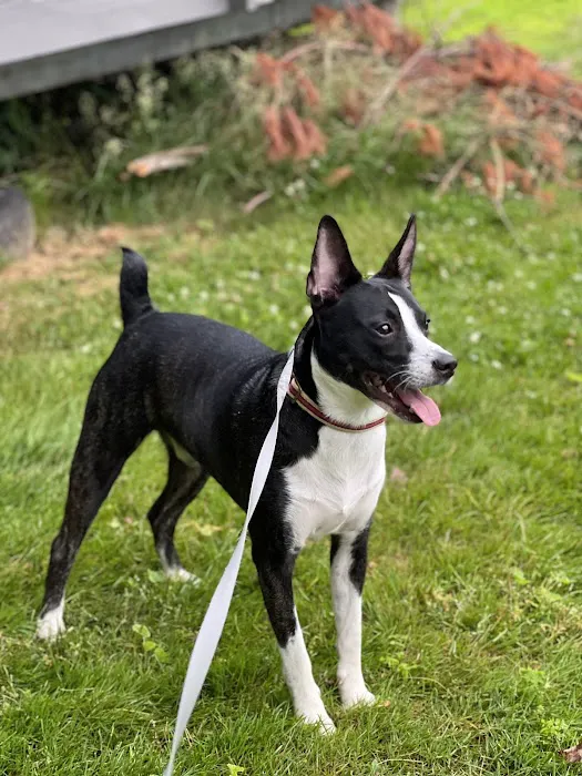 MacDonald Veterinary Hospital, Inc. Picture 5