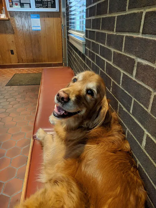 MacDonald Veterinary Hospital, Inc. Picture 9