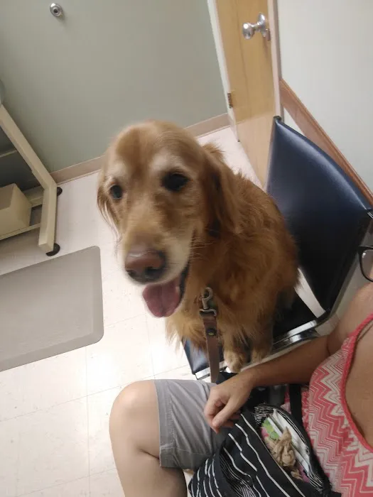 MacDonald Veterinary Hospital, Inc. Picture 6