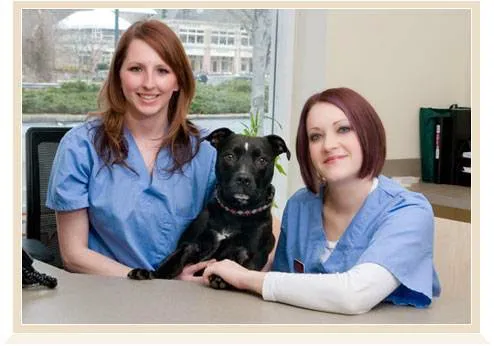 Corey Shagensky, DVM Picture 6