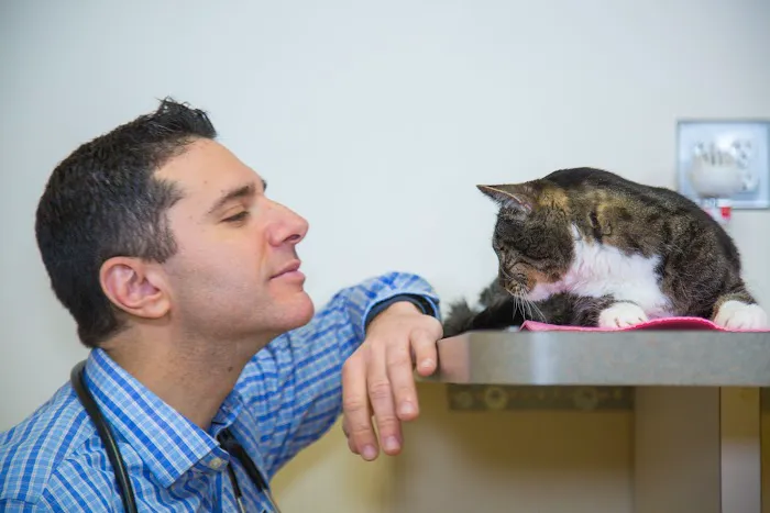 Corey Shagensky, DVM Picture 3