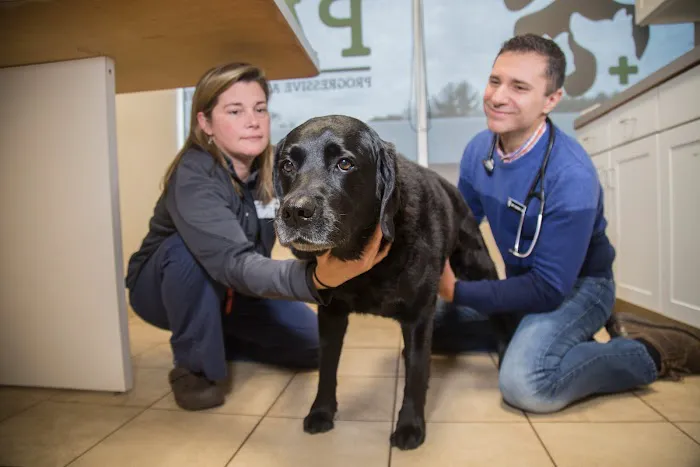 Corey Shagensky, DVM Picture 2