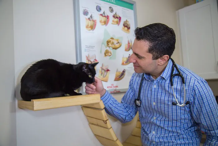 Corey Shagensky, DVM Picture 8