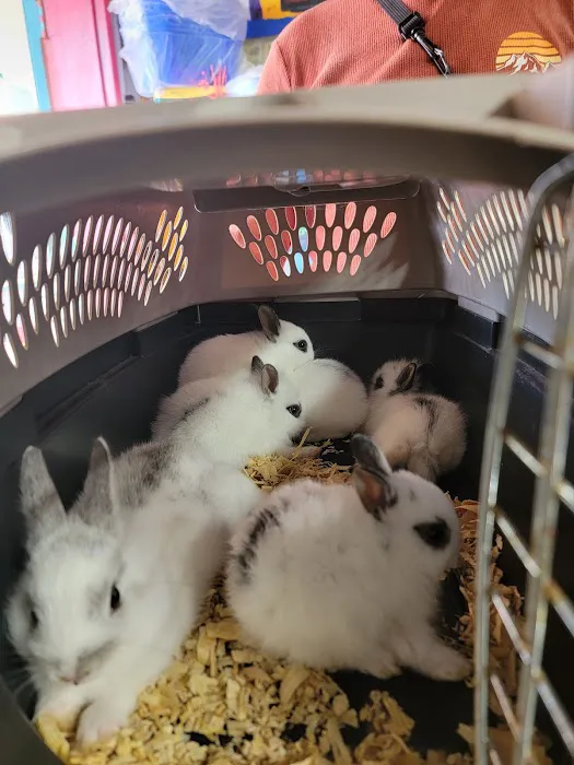 EL PATRON Pet Supply Picture 3