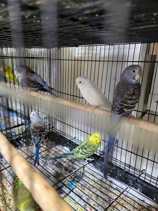 EL PATRON Pet Supply Picture 1