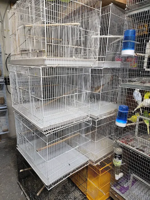 EL PATRON Pet Supply Picture 5