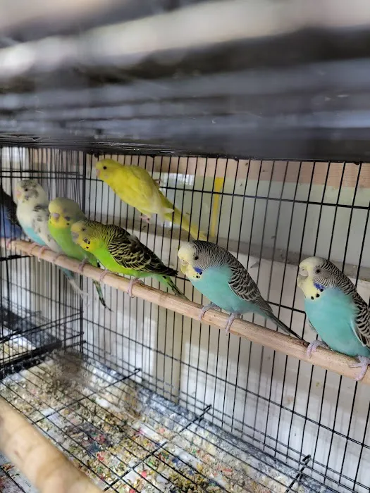 EL PATRON Pet Supply Picture 8