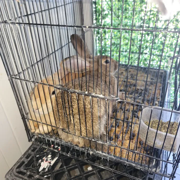 EL PATRON Pet Supply Picture 10