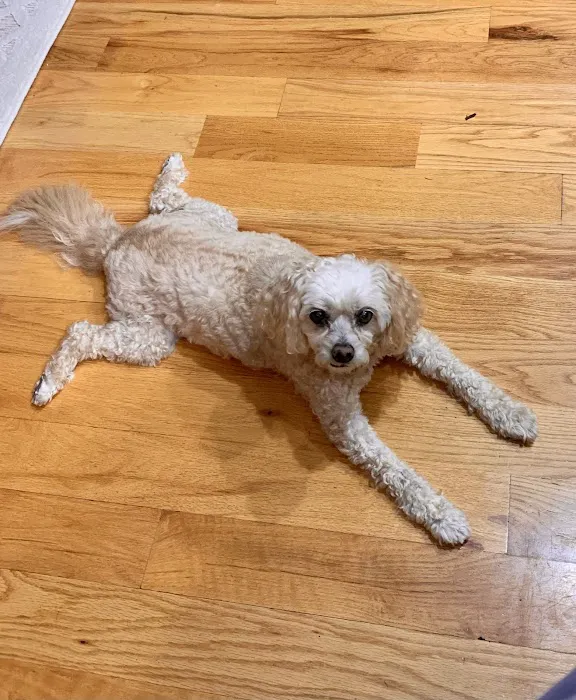 Progressive Animal Wellness Picture 9