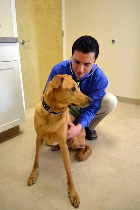 Progressive Animal Wellness Picture 7