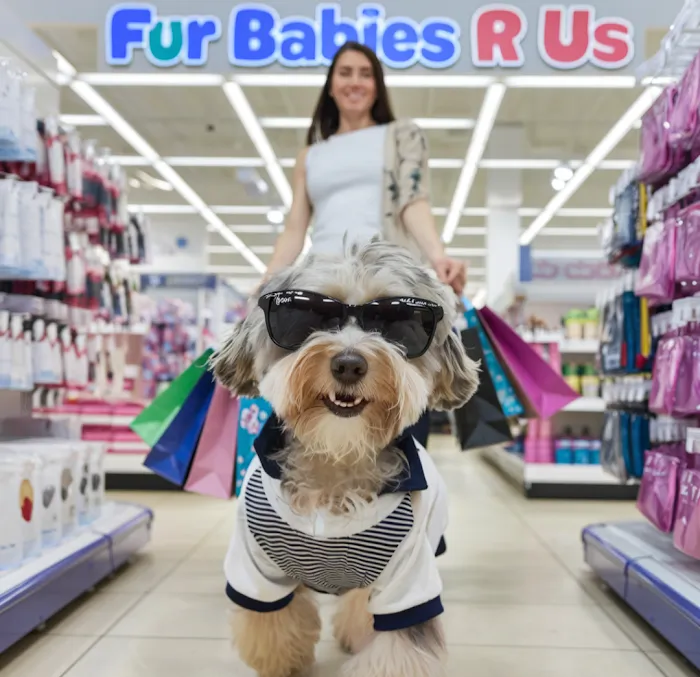 Furbabies R Us Picture 3