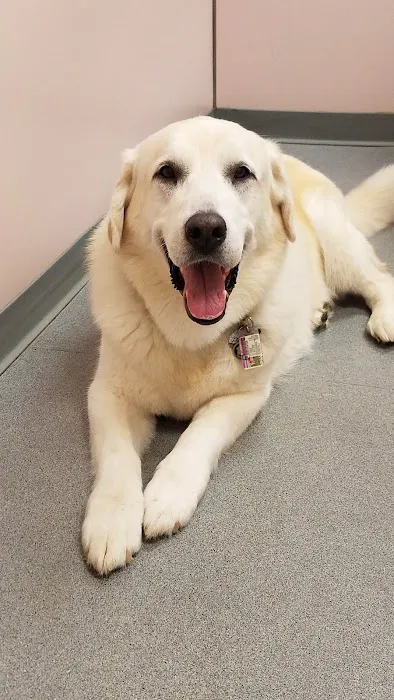 Prospect Veterinary Hospital Picture 3