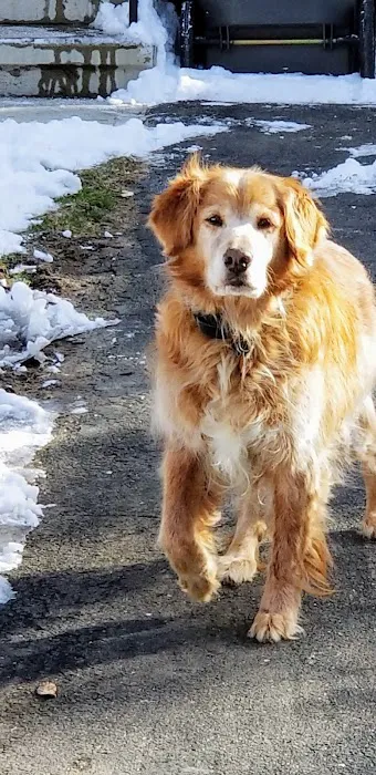 Prospect Veterinary Hospital Picture 4