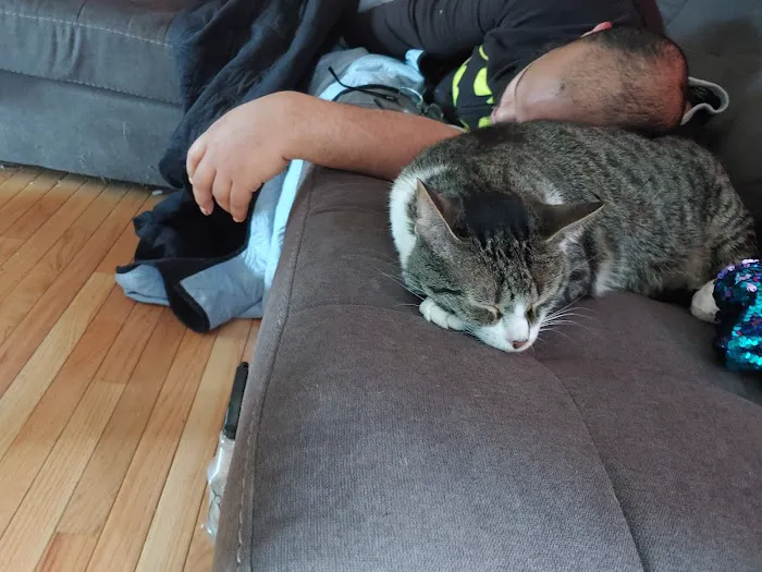 Prospect Veterinary Hospital Picture 6