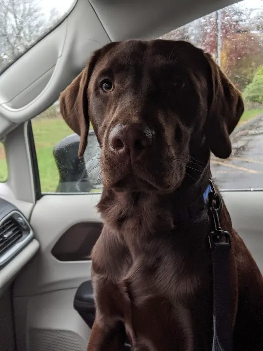 Prospect Veterinary Hospital Picture 10