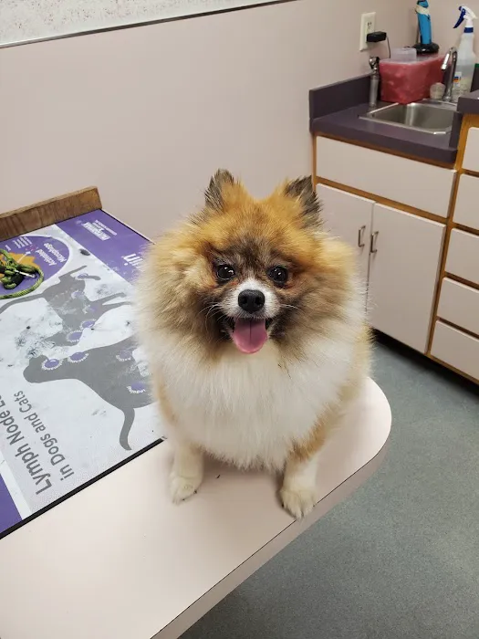 Prospect Veterinary Hospital Picture 9