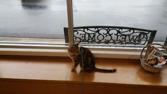 Prospect Veterinary Hospital Picture 7