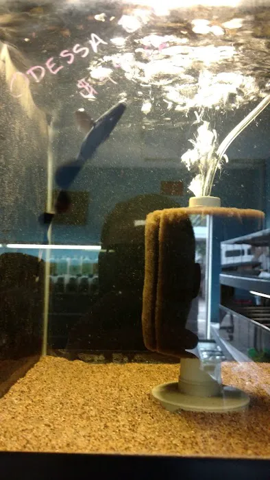 Tamed Waters Picture 9