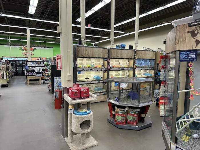 Vetco Vaccination Clinic Picture 2