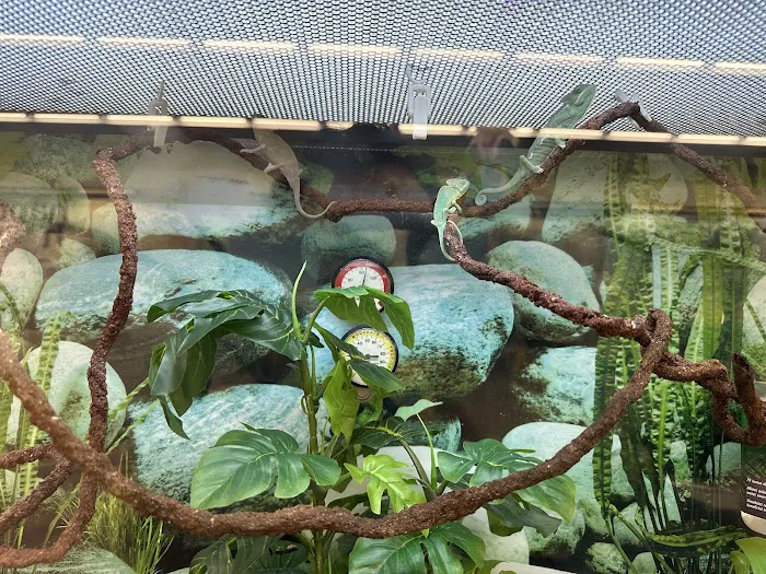 Vetco Vaccination Clinic Picture 3