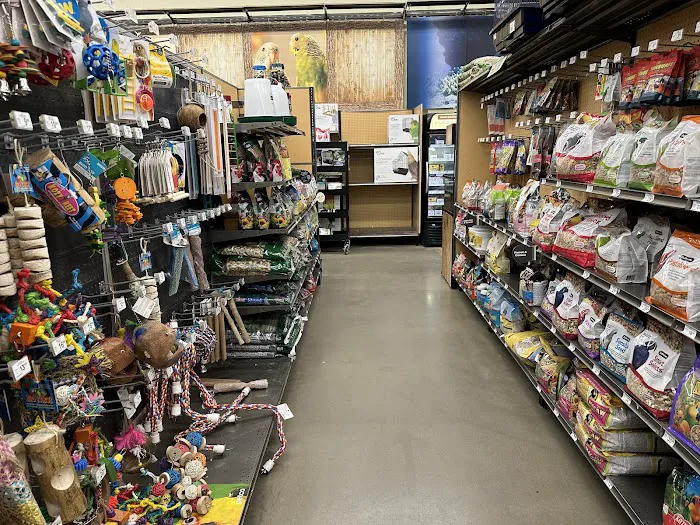 Vetco Vaccination Clinic Picture 7