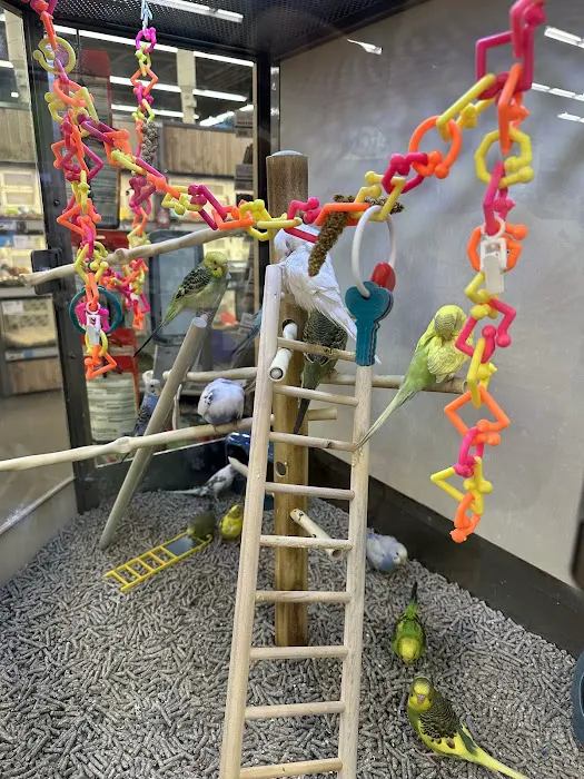 Vetco Vaccination Clinic Picture 1