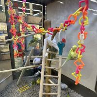 Vetco Vaccination Clinic ico