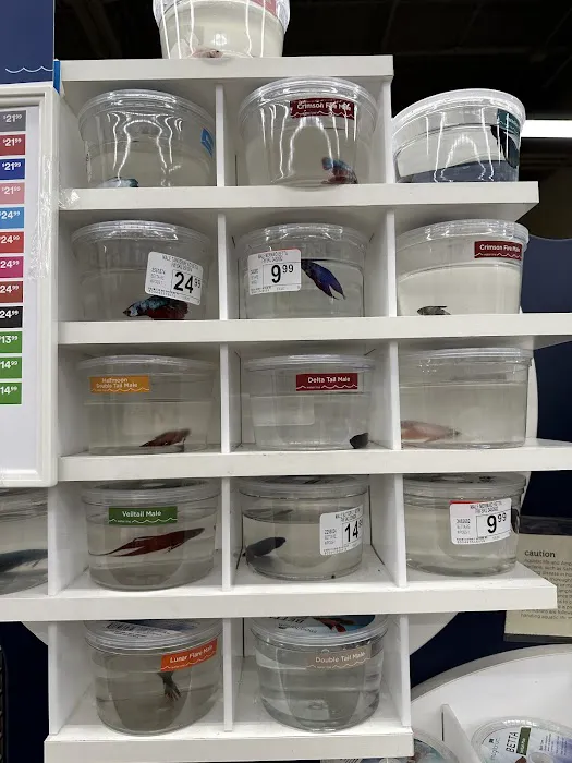 Vetco Vaccination Clinic Picture 5