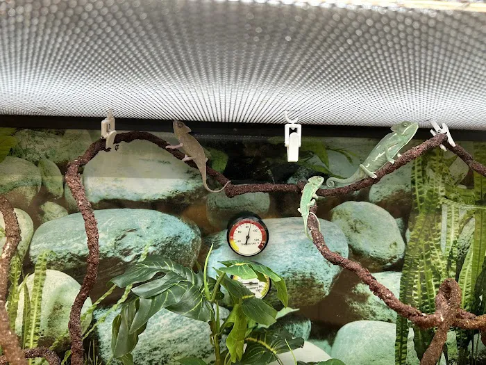 Vetco Vaccination Clinic Picture 6