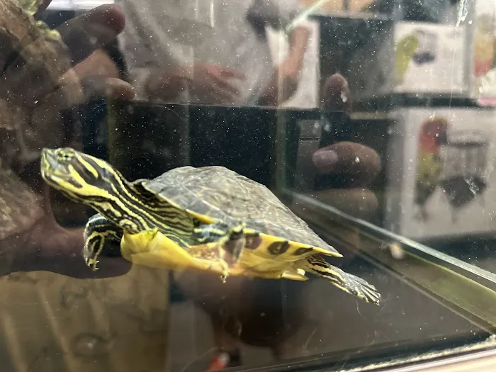 Vetco Vaccination Clinic Picture 9