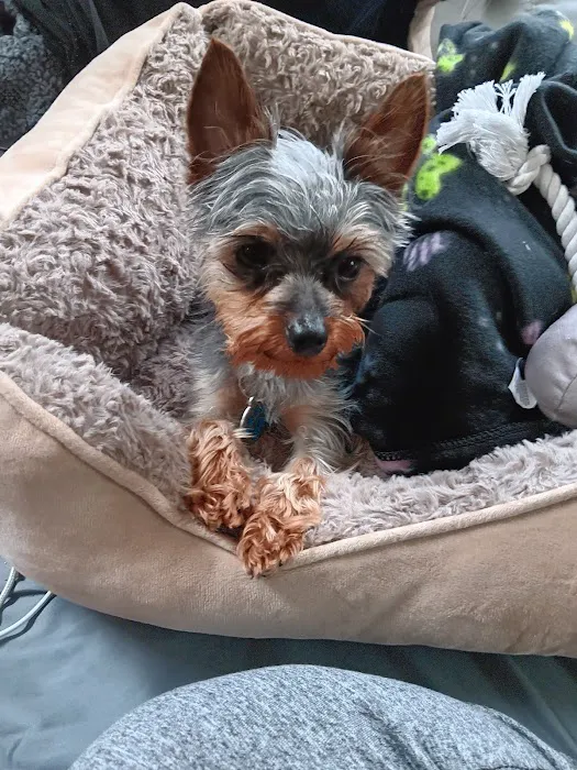 Vetco Vaccination Clinic Picture 8