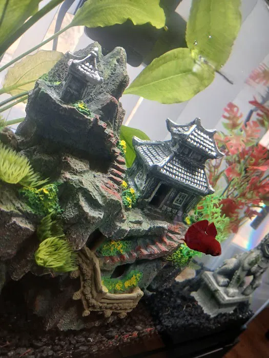 Exotic Aquarium Picture 2