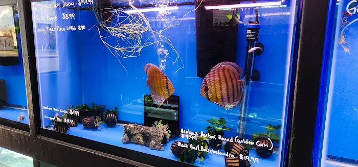 Imported Fish Picture 6