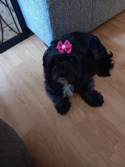 Mattatuck Animal Hospital Picture 6