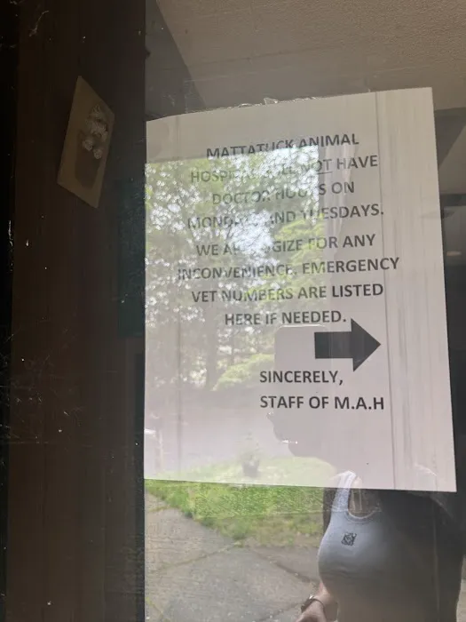 Mattatuck Animal Hospital Picture 3