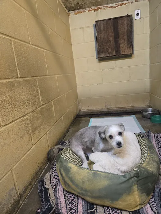 Mattatuck Animal Hospital Picture 4