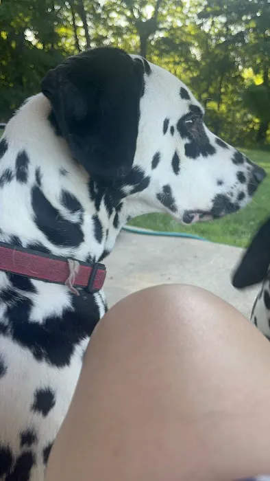 Mattatuck Animal Hospital Picture 8