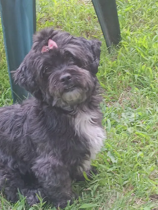 Mattatuck Animal Hospital Picture 9