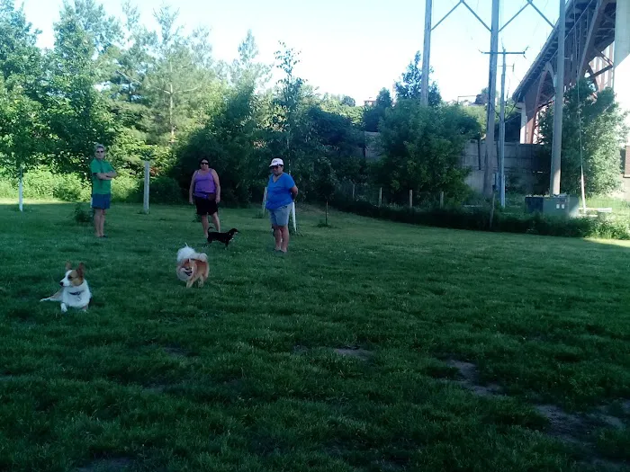 ESA Pet Today Picture 3