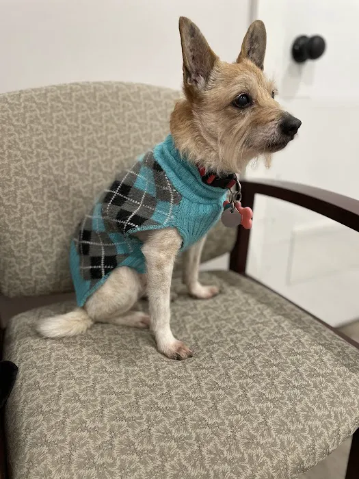 Embrace Animal Hospital Picture 4