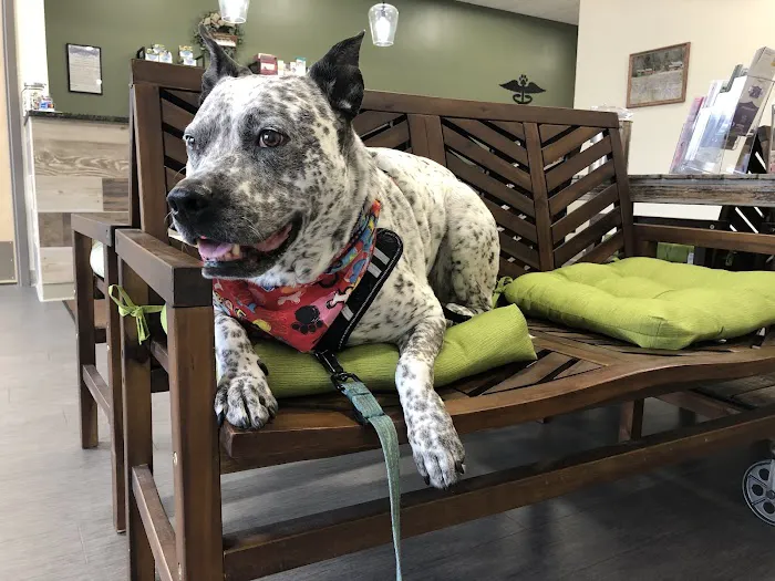 Evergreen Veterinary Clinic Picture 5