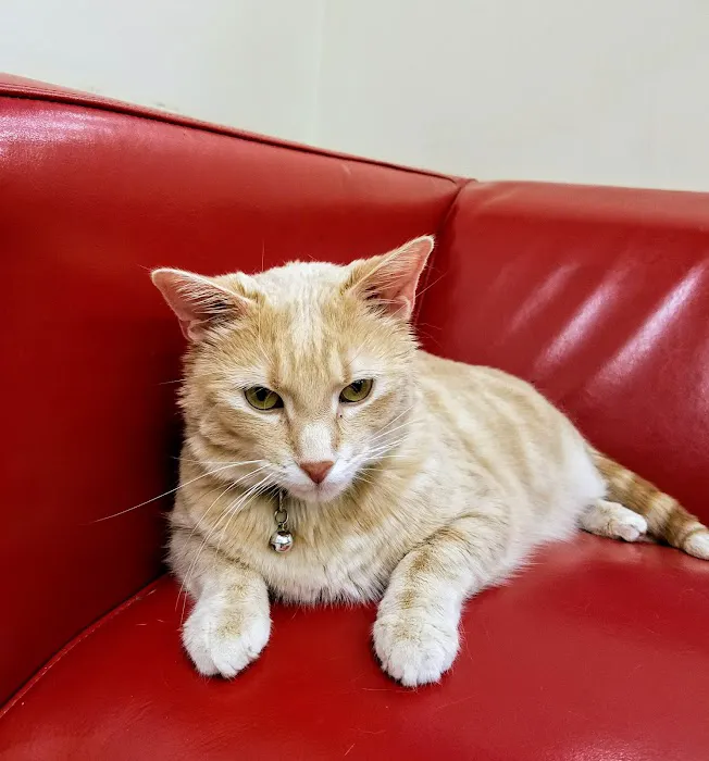 Pet Supplies Plus Vadnais Heights Picture 10