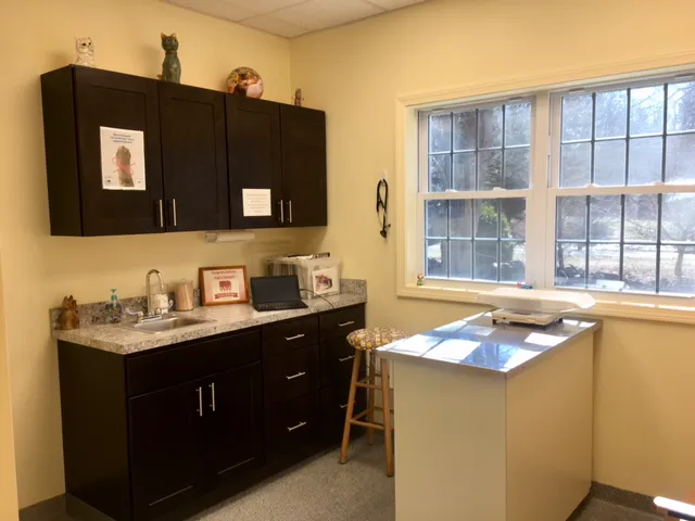 Cat's Corner Veterinary Hospital Picture 5