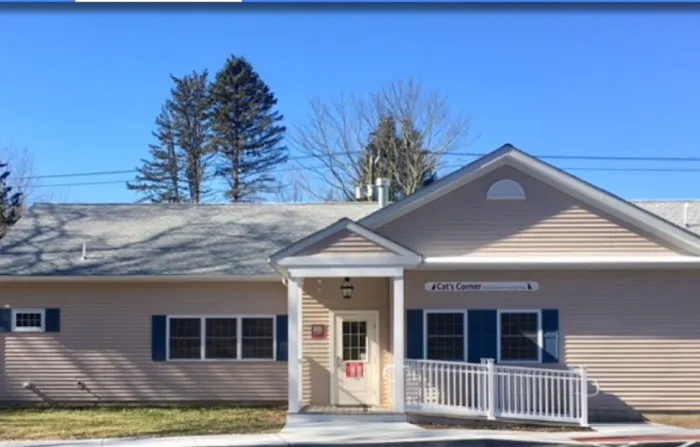 Cat's Corner Veterinary Hospital Picture 2
