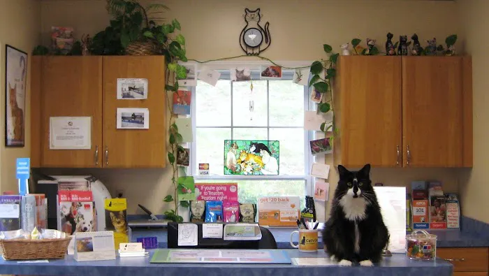Cat's Corner Veterinary Hospital Picture 9