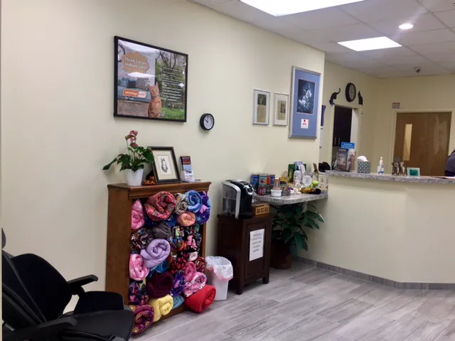 Cat's Corner Veterinary Hospital Picture 7