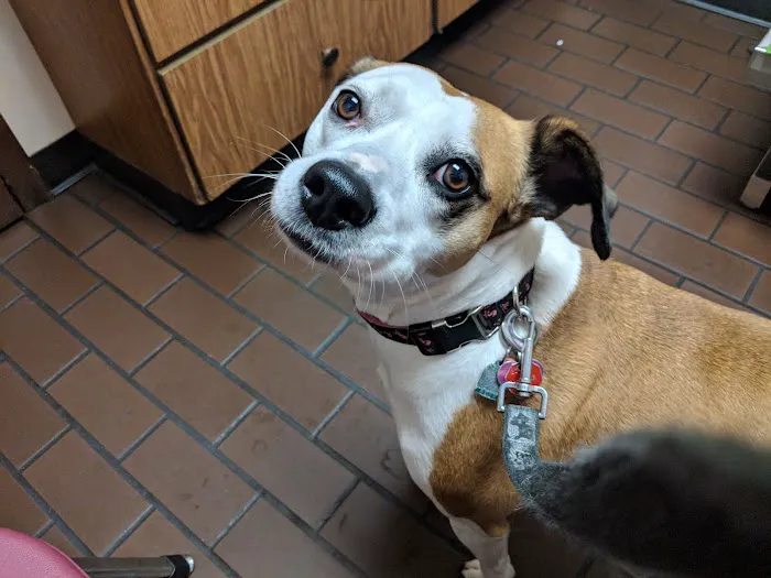 Oxford Veterinary Hospital Picture 10