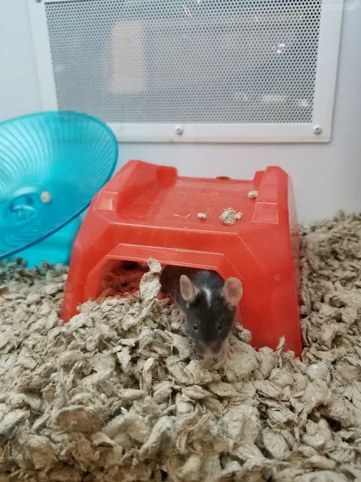 Petco Picture 5